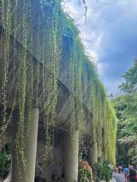 《新加坡》必去地標級景點 超壯觀燈光秀-Supertree Grove