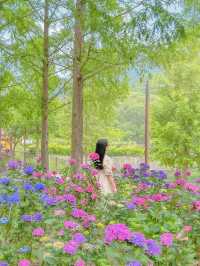 진주 월아산 숲속의 숨은 수국 스팟🍃💜🩵