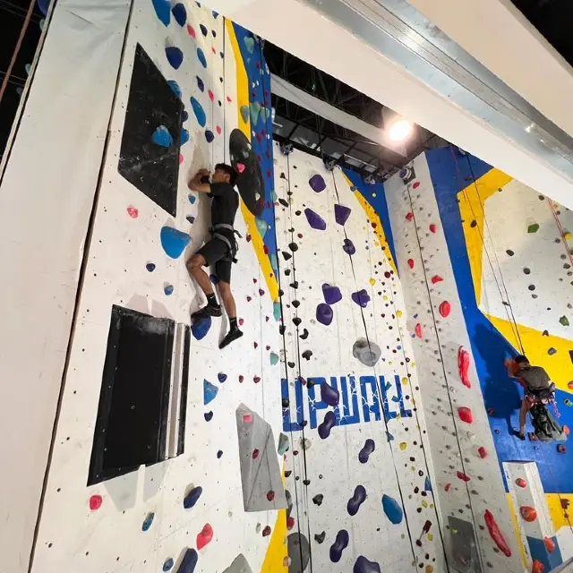 Indoor Rock Climbing