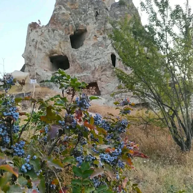 @ GOREME OPEN AIR MUSEUM IN CAPPADOCIA!