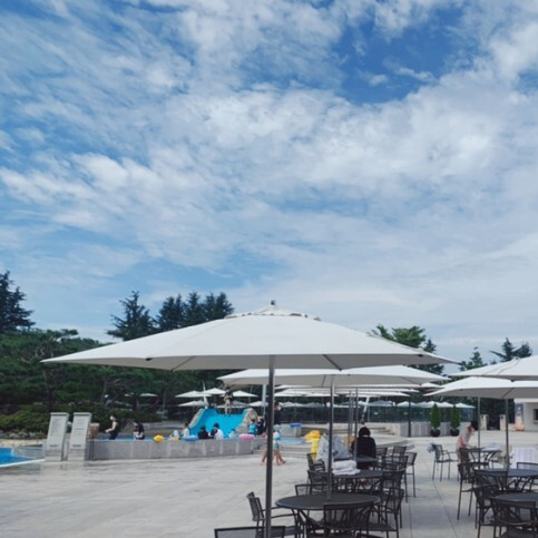 문화유산과 함께하는 여행🪨 힐튼호텔, 황리단길, 동궁과 월지