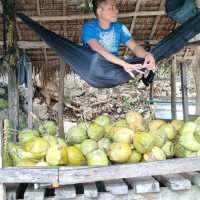 CORON ADVENTURE 