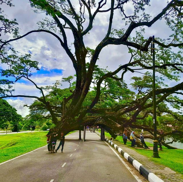 Taiping Lake Gardens