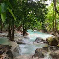 สวนรุกขชาติวังก้านเหลือง
