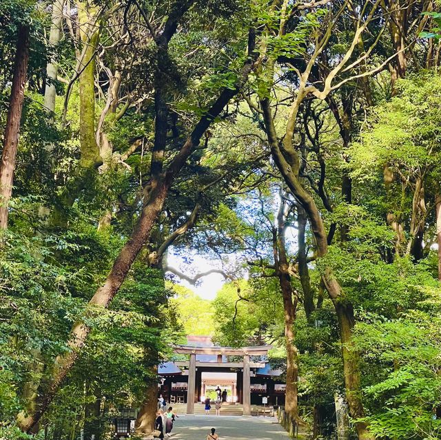 Meiji Jingu Shrine