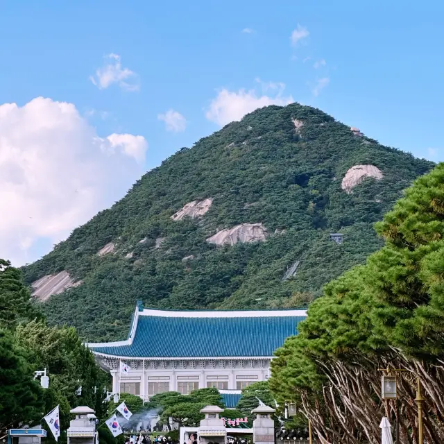 🇰🇷 서울의 중심에 위치한 청와대의 단아한 풍경을 보며 산책해보세요💕.