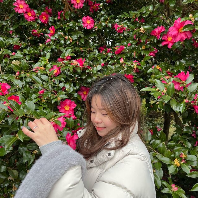 친구와 뚜벅이 겨울 제주⛄️🍊