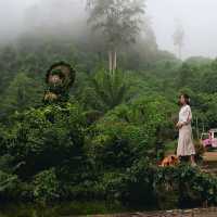 อุทยานธรรมเขานาในหลวง   จ.สุราษฎร์ธานี
