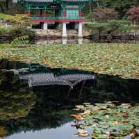 The Beauty Of Tongiljeon in Gyeongsangbukdo 