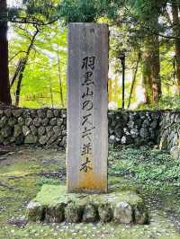 【山形県/出羽三山神社】2023年トライしてみてよかった！石段詣