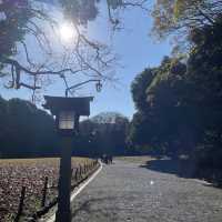 東京最有人氣的宗教勝地 ─明治神宮