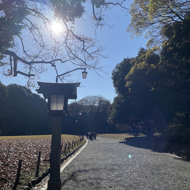 東京最有人氣的宗教勝地 ─明治神宮
