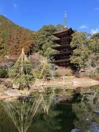 One of the Japan's three greatest pagodas!