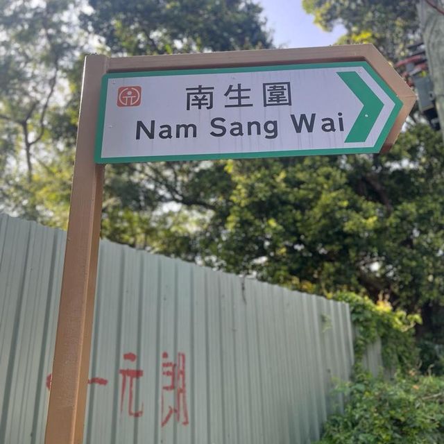 南生圍, 香港唯一手動橫水渡