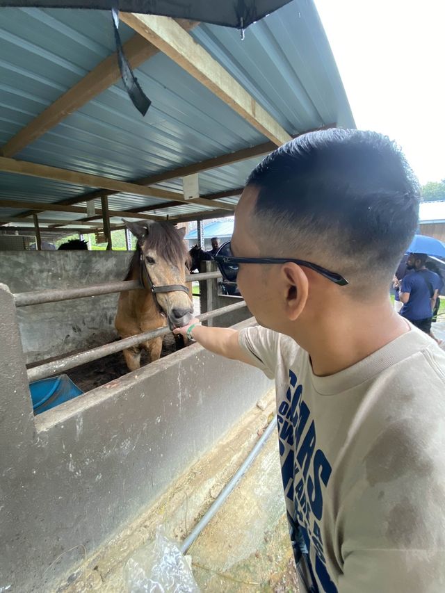 P.D. Ostrich Show Farm