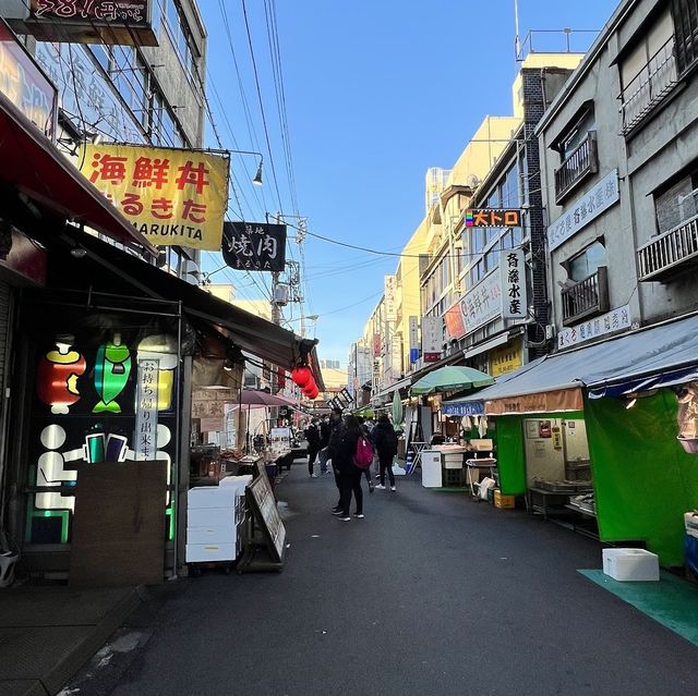 Tsukiji Outer Market 