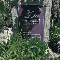 PYNMOUNT ร้านคาเฟ่สวยในป่าเขา