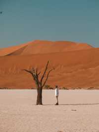 Deadvlei Nambia - Frozen in time