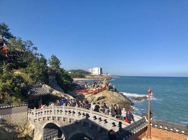 기장 핫플레이스 해동용궁사 부산여행 필수코스 ✔️