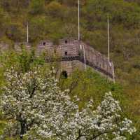 The spring color of Mutianyu Great Wall