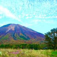 晴れたら景色最高【大山まきばみるくの里】鳥取