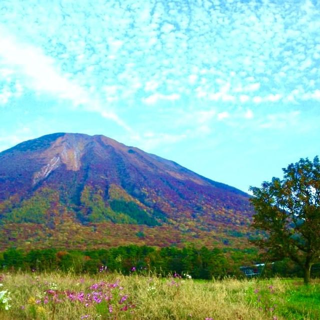 晴れたら景色最高【大山まきばみるくの里】鳥取