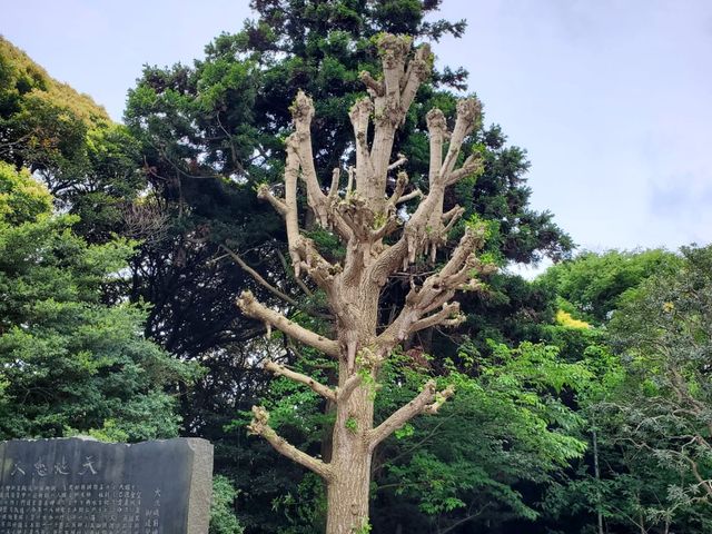 神磯鳥居 @ 大洗磯前神社