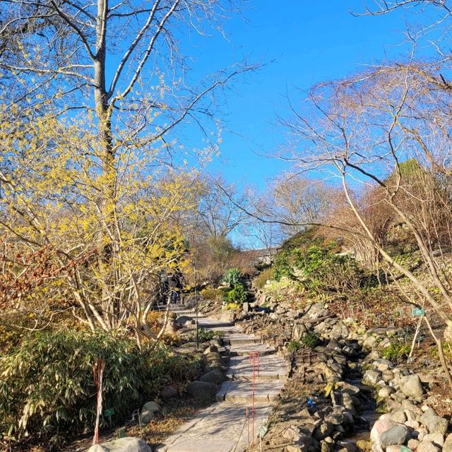 Botanisk Have, Copenhagen | Dreamlike Garden