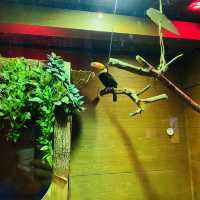 週末好去處，香港挪亞方舟親子遊初體驗