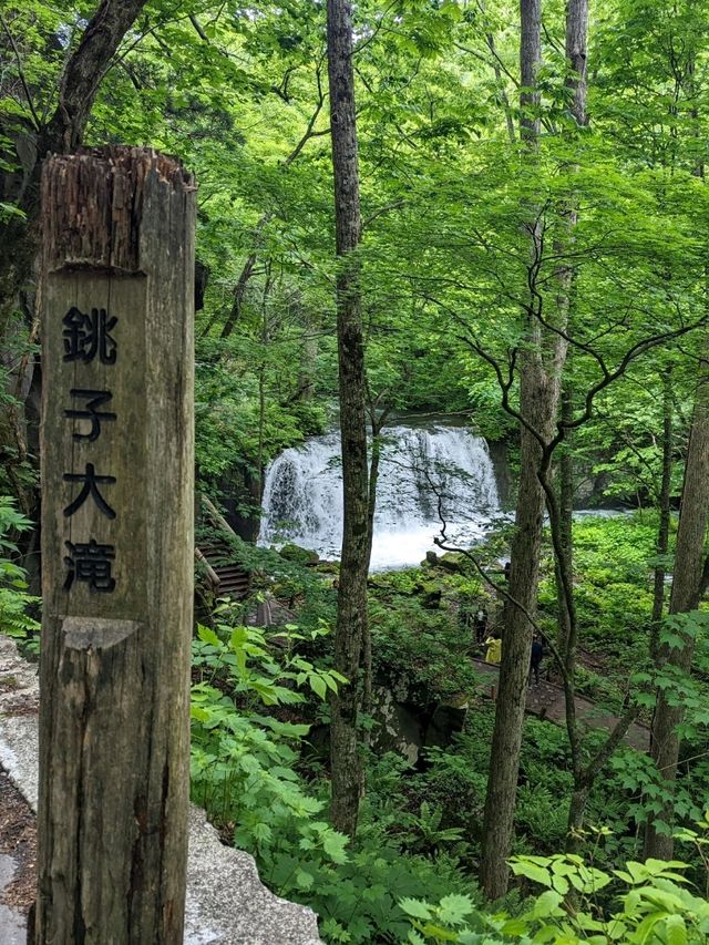 【ミシュラン2つ星】青森の絶景美「奥入瀬渓流」