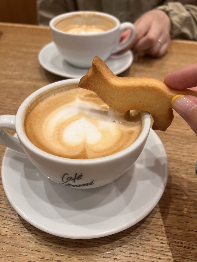 東京【渋谷】Café Kitsuné Shibuya