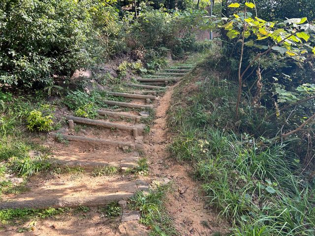 【愛知】信長が初めて築いた城！小牧山城をご紹介