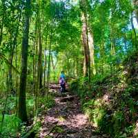 Kinabalu Park trails for the explorer!