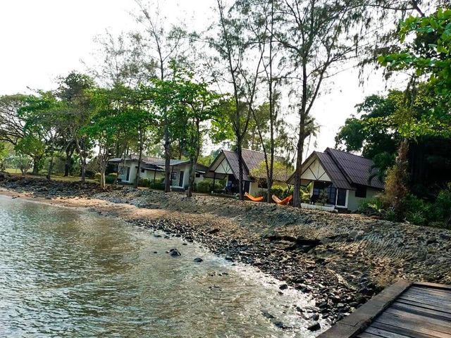 Kohmak trad ไข่มุกแห่งอ่าวไทย 