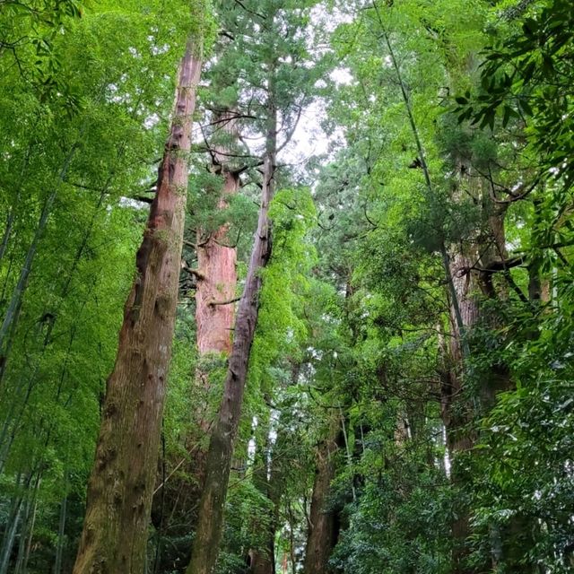 熊野古道體驗日本優美行山徑