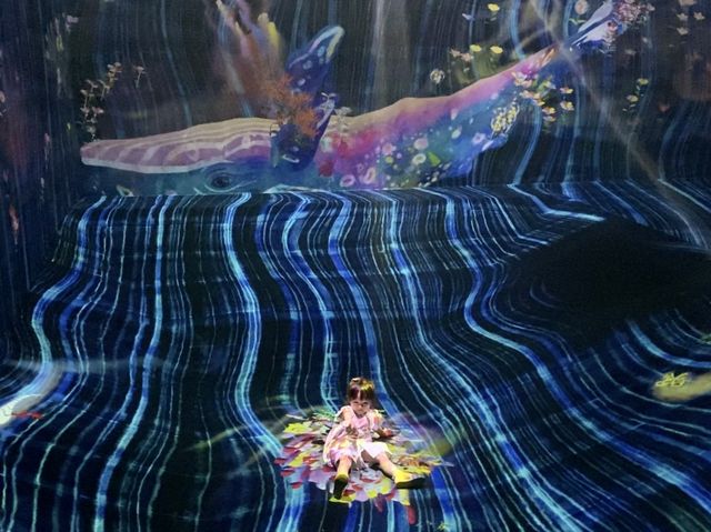🦋Teamlab🐋光影效果🦎沉浸式體驗🧑🏻‍🎨啟發小朋友的創造力