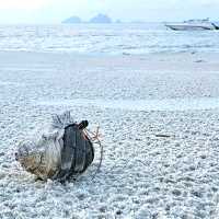 ชีวิตติดเกาะ กับทริปเกาะมุก เกาะกระดาน 