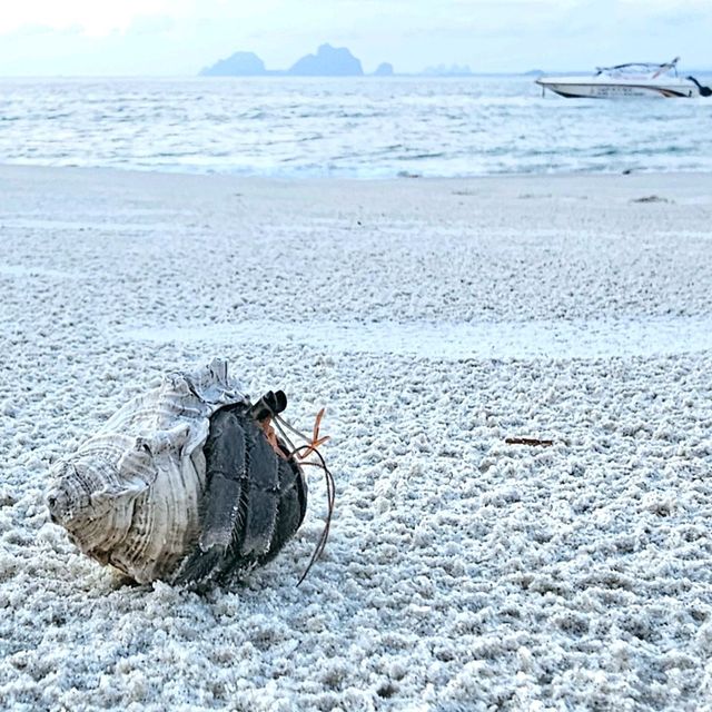ชีวิตติดเกาะ กับทริปเกาะมุก เกาะกระดาน 