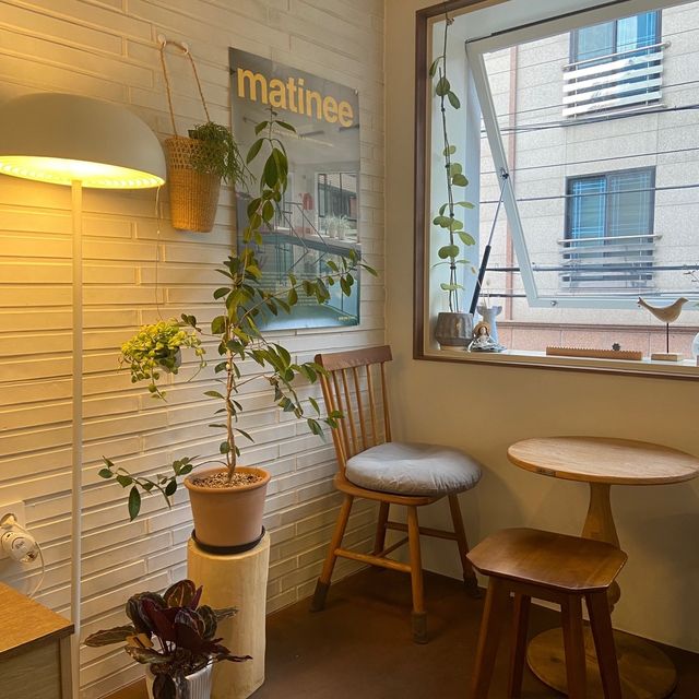 【韓国】田浦洞にあるオススメのカフェ🪴