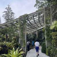 A treat to the senses@National Orchid Garden