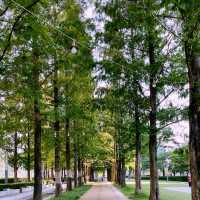 🌳 부산시민들을 위한 한적한 일상의 선물, 부산시민공원