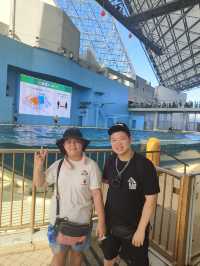 橫濱八景島海島樂園,好玩一天遊