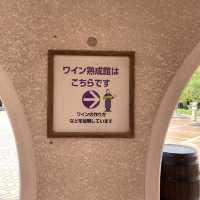 【兵庫県】ワイン好きなら一度は行きたい神戸ワイナリー