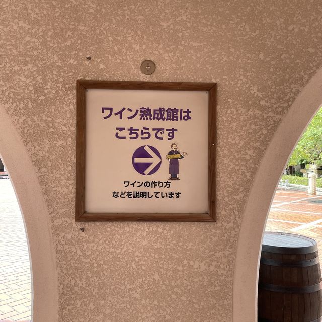 【兵庫県】ワイン好きなら一度は行きたい神戸ワイナリー