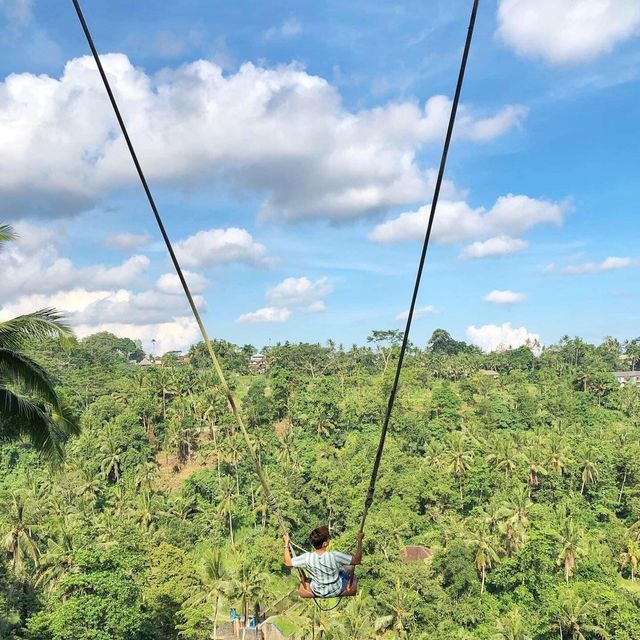 Bali Swing-Unique swing with epic view