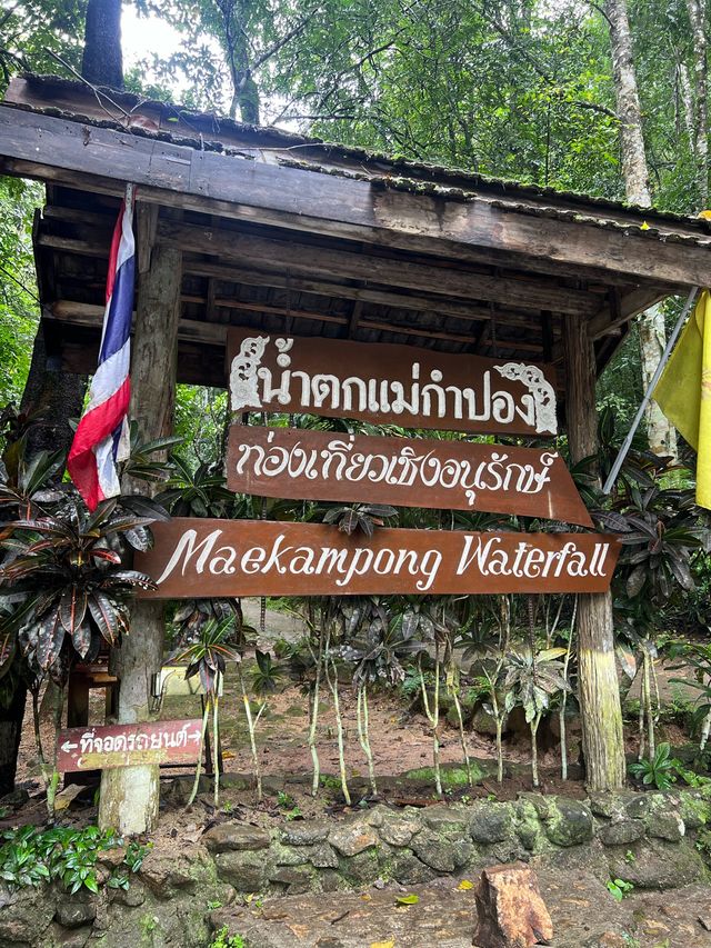 เที่ยวน้ำตกแม่กำปอง ธรรมชาติชุ่มฉ่ำ เขียวขจี ✨