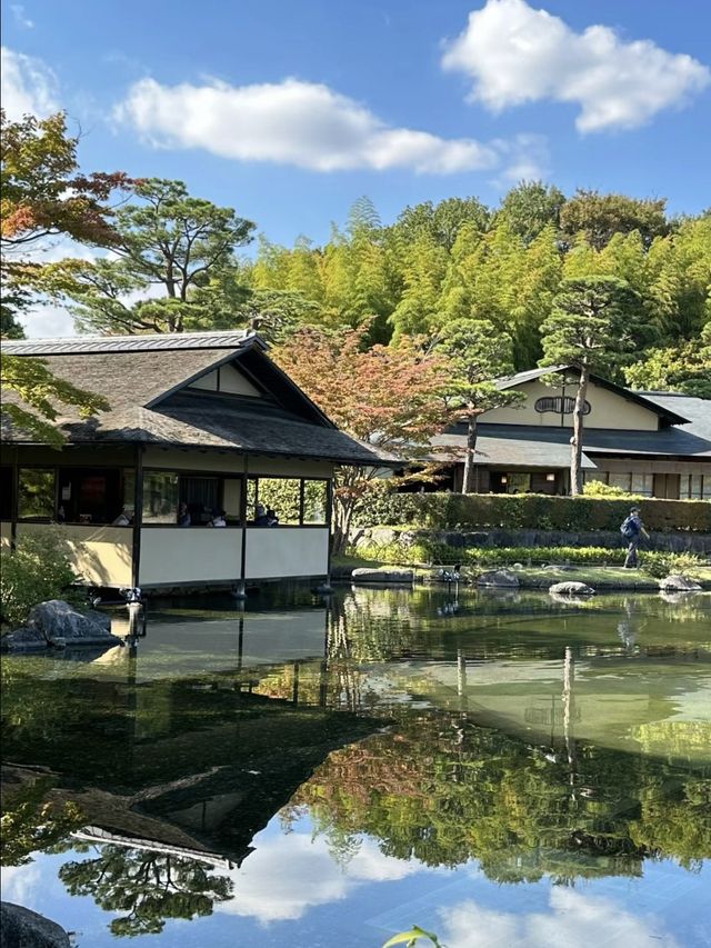 🌸🏞️🍵昭和紀念公園～自然的日式寶地🌸🏞️🍵