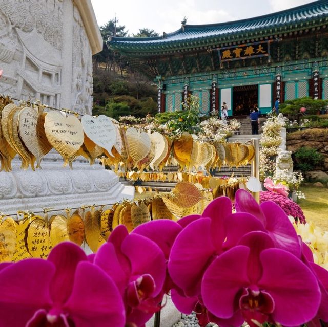 Beautiful Autumn of Yeongpyeongsa Temple