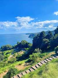 ここ知ってる？🫣🌿自然の中にある博物館🤍【神奈川県】