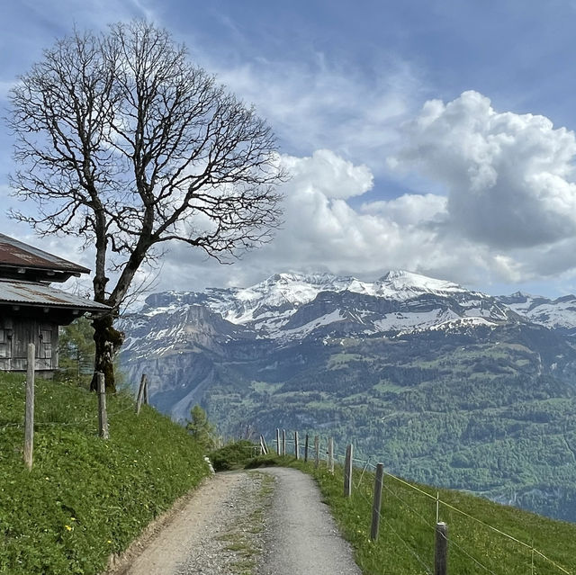 Brienz Bliss: Autumn's Serenade Unveiled